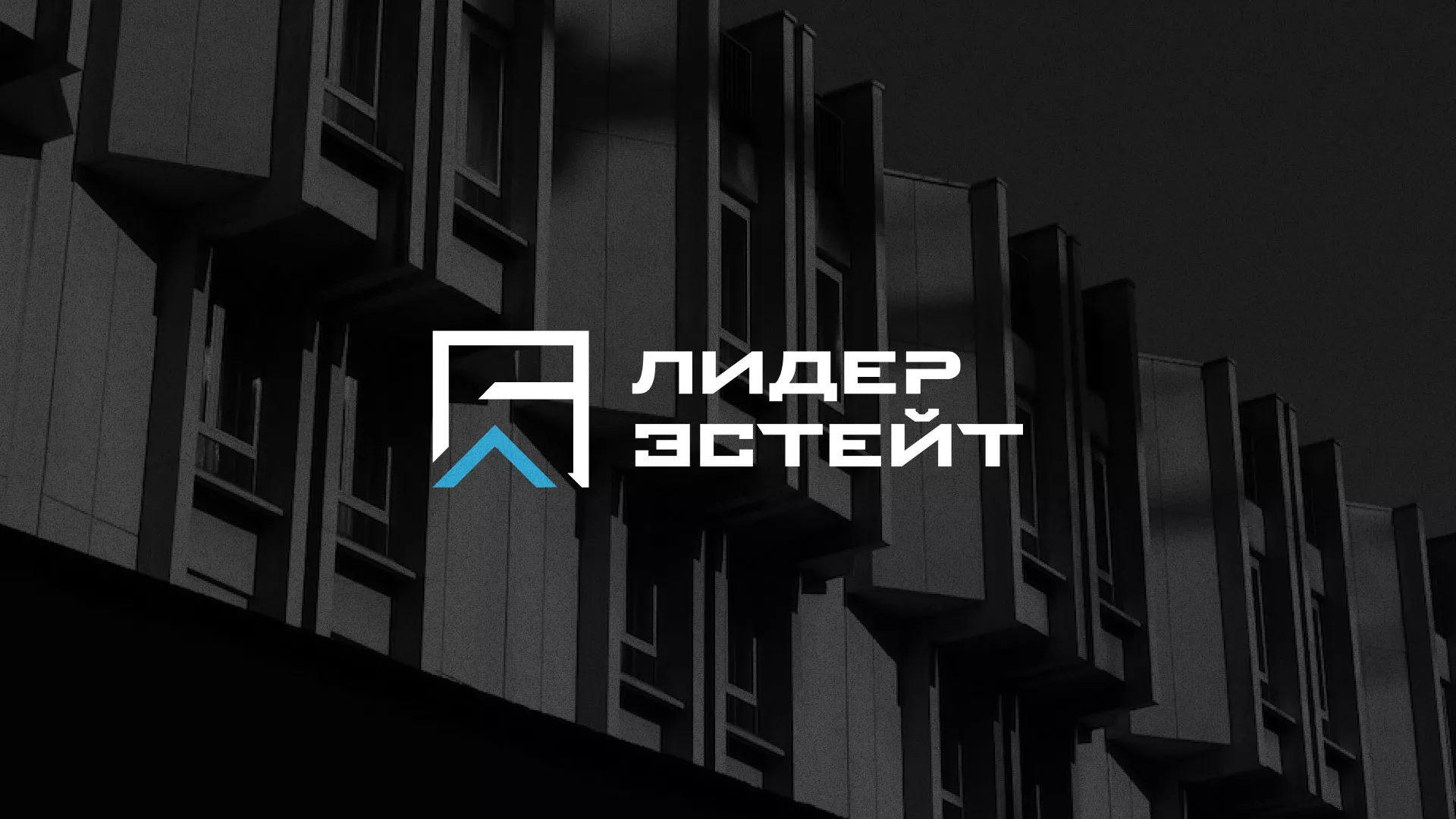 Разработка логотипа агентства недвижимости «Лидер Эстейт» в Белоусово